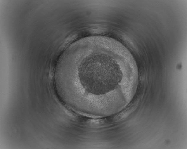 X0000090860277200708171611