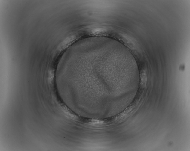 X0000090860278200708171611