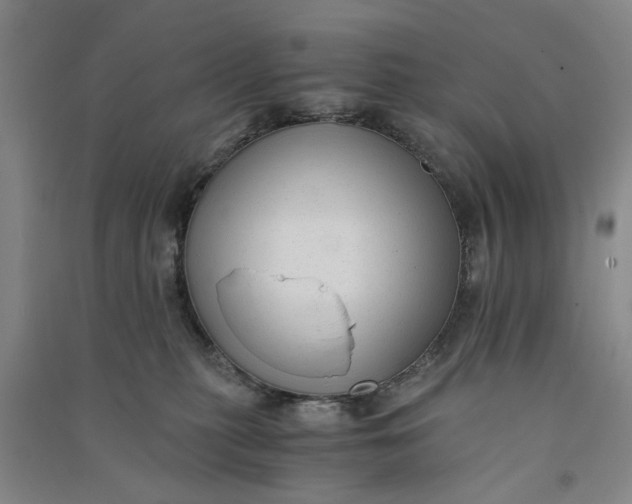 X0000090860279200708171611