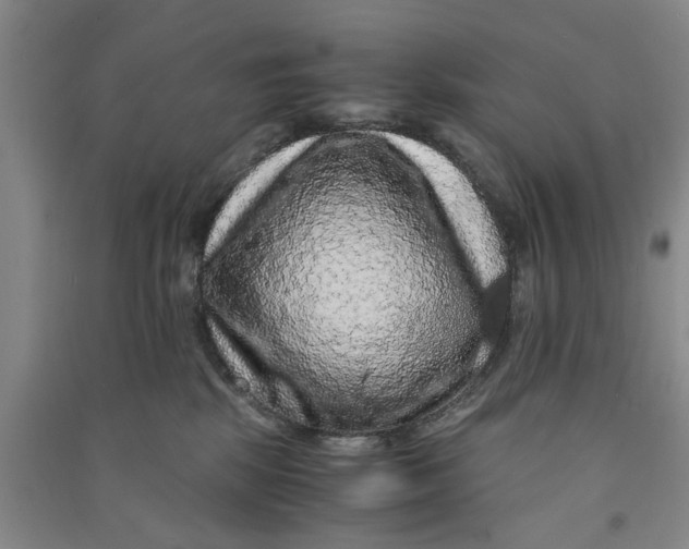 X0000090860281200708171611