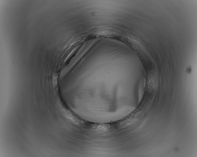 X0000090860282200708171611