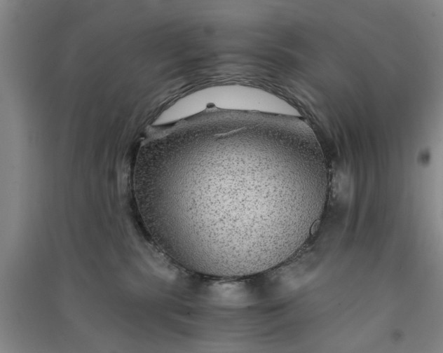 X0000090860283200708171611