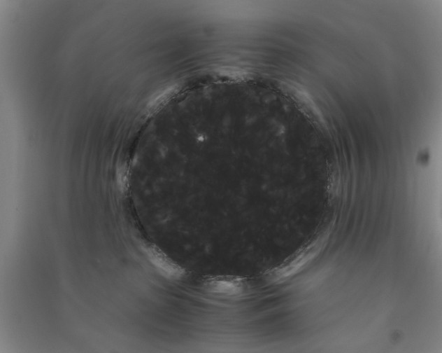 X0000090860285200708171611