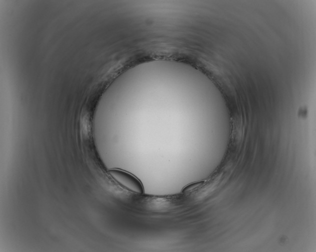 X0000090860287200708171611