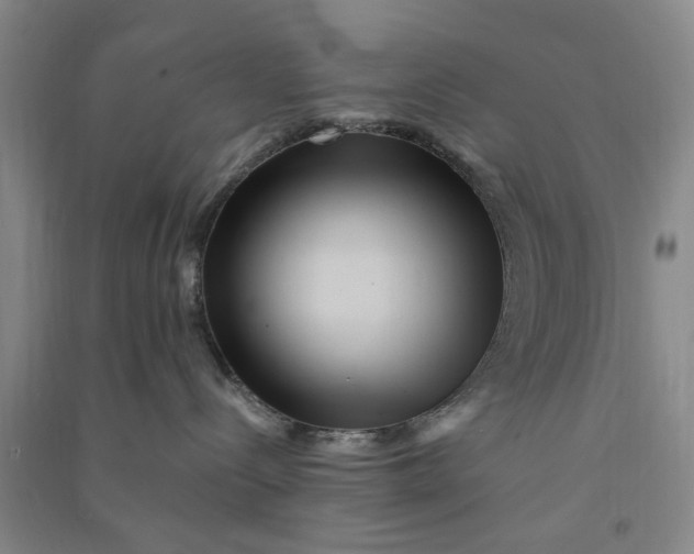 X0000090860288200708171611