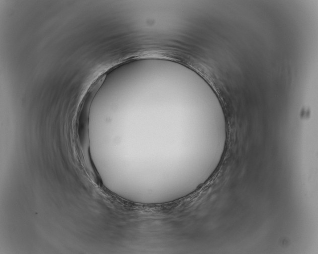 X0000090860289200708171611
