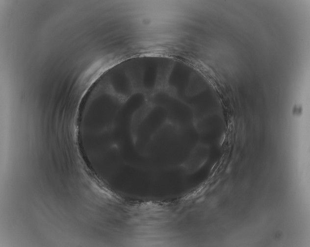 X0000090860290200708171611