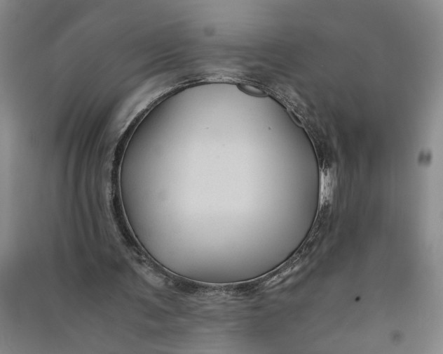 X0000090860291200708171611