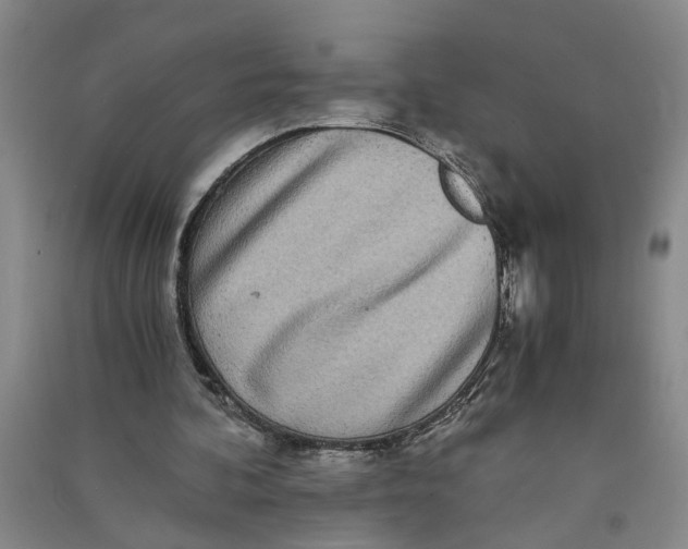 X0000090860292200708171611