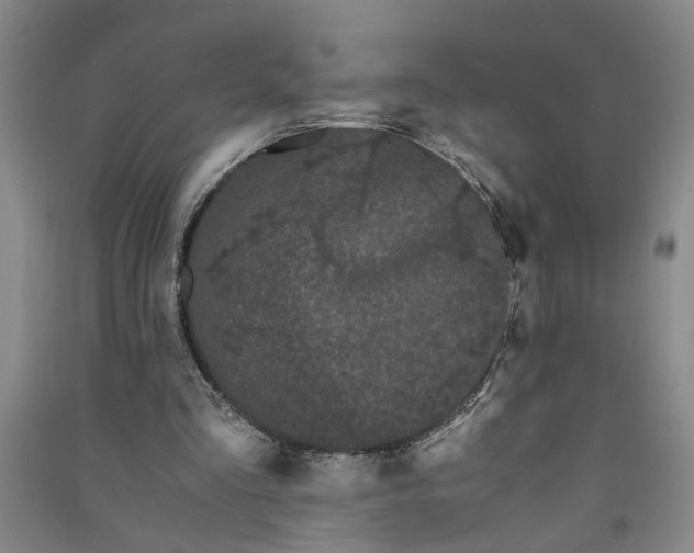 X0000090860293200708171611