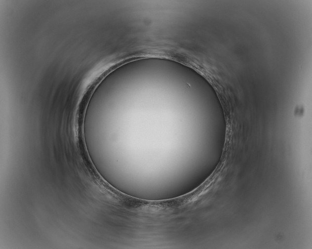 X0000090860294200708171611