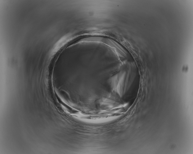 X0000090860295200708171611