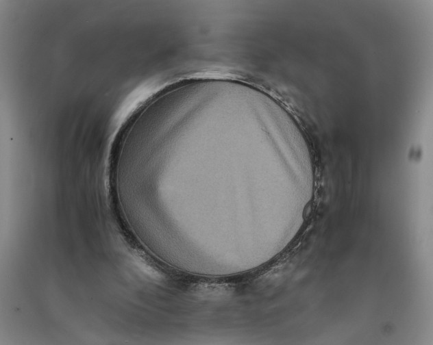 X0000090860296200708171611
