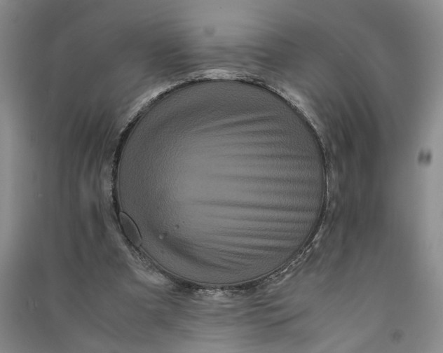 X0000090860297200708171611