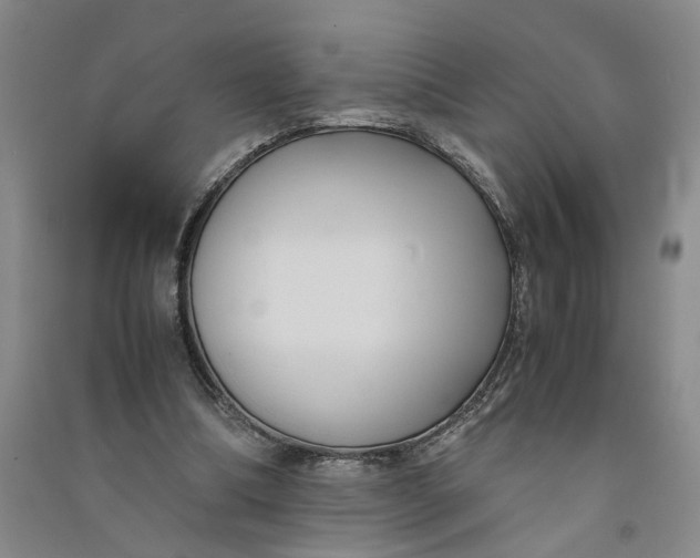 X0000090860298200708171611