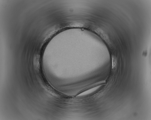 X0000090860300200708171611