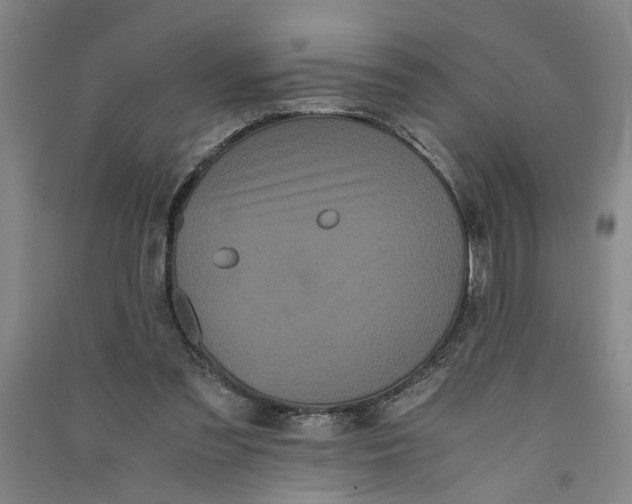 X0000090860301200708171611