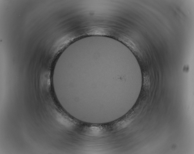 X0000090860302200708171611