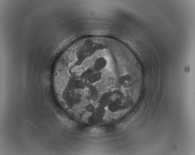 X0000090860303200708171610
