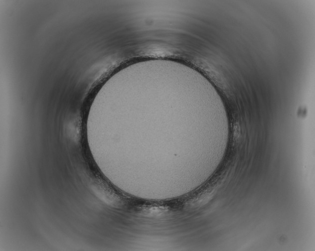 X0000090860304200708171610