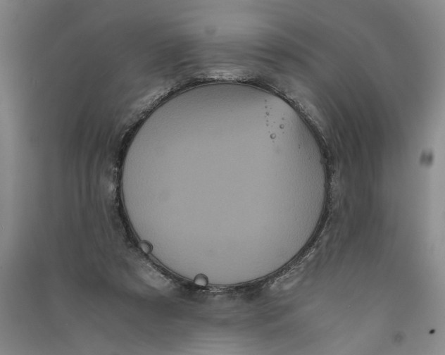 X0000090860305200708171610