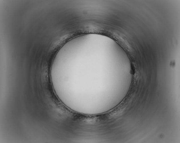 X0000090860306200708171610
