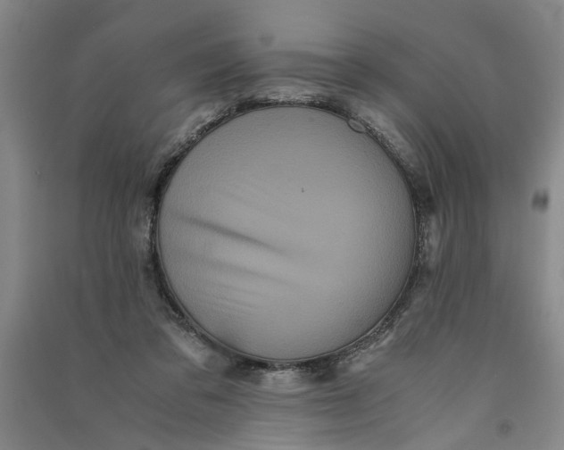 X0000090860309200708171610