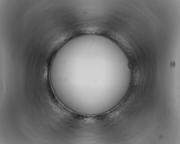X0000090860310200708171610
