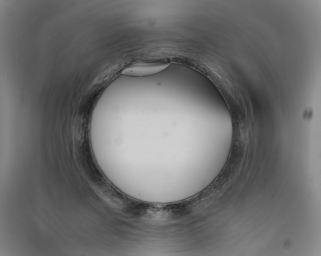 X0000090860311200708171610