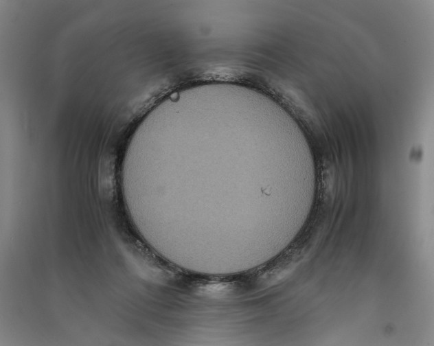 X0000090860312200708171610