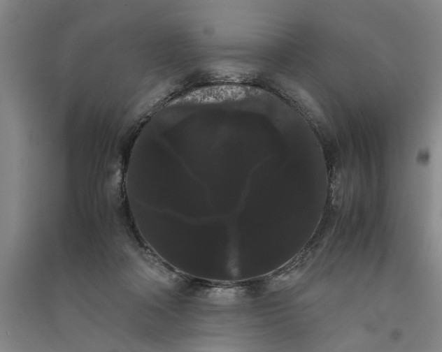 X0000090860314200708171610