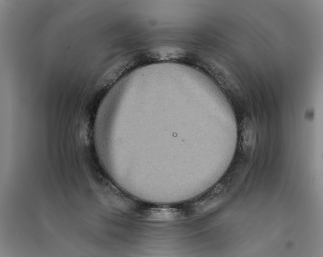 X0000090860316200708171610