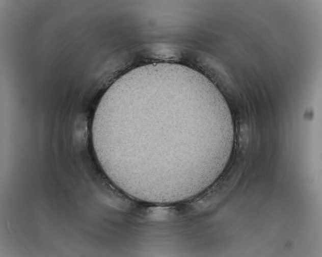 X0000090860320200708171610