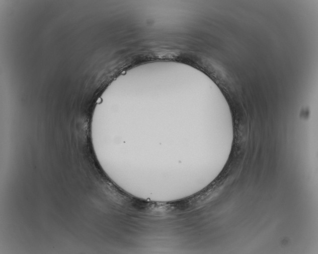 X0000090860321200708171610