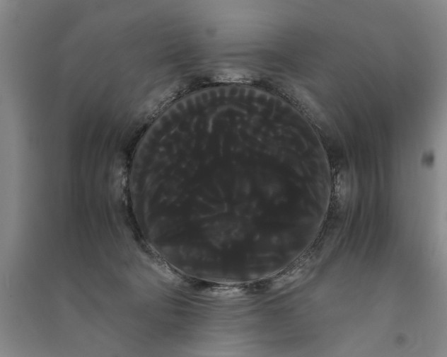 X0000090860322200708171610