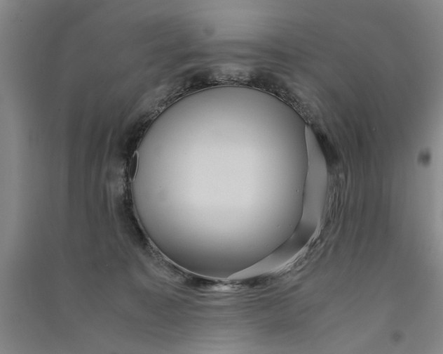 X0000090860323200708171610