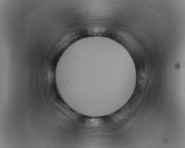 X0000090860324200708171610