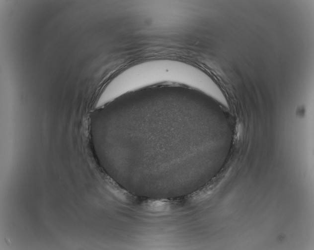 X0000090860325200708171610