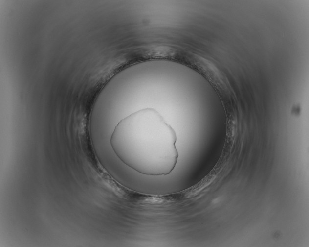 X0000090860326200708171610