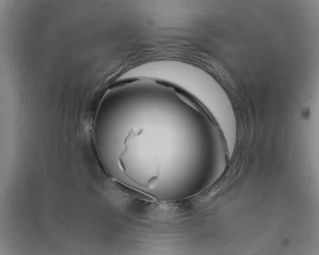X0000090860329200708171610