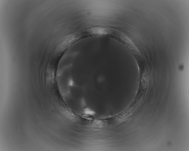 X0000090860330200708171610