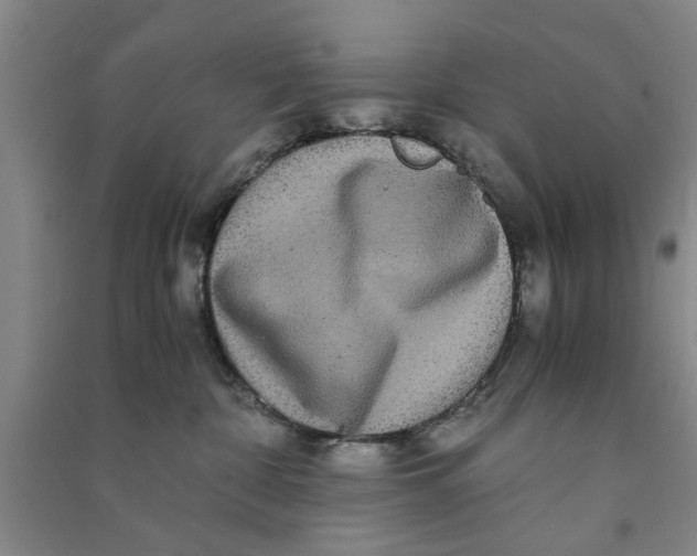X0000090860332200708171610