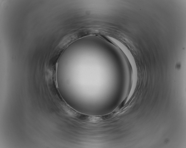 X0000090860333200708171610
