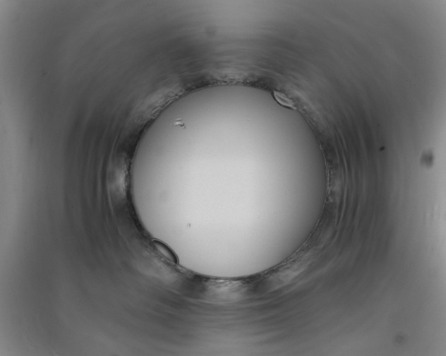 X0000090860334200708171610