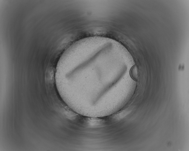 X0000090860336200708171610
