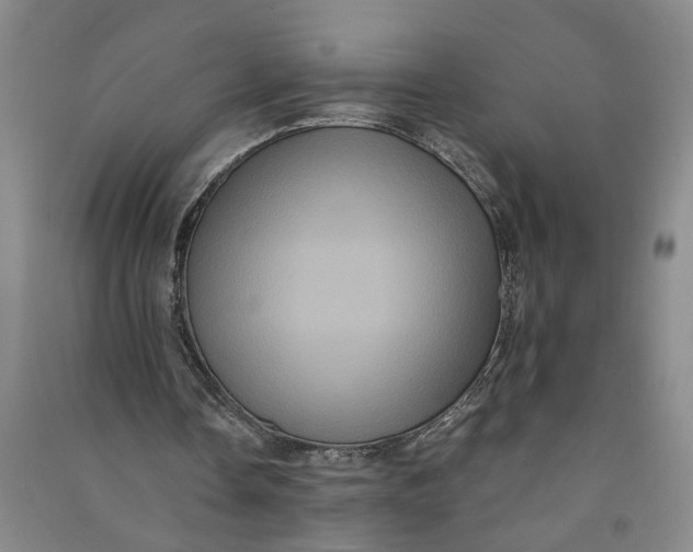 X0000090860338200708171610