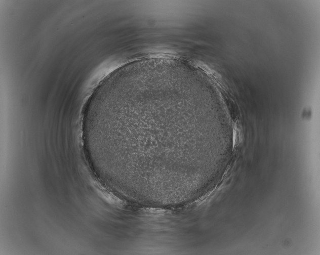 X0000090860339200708171610