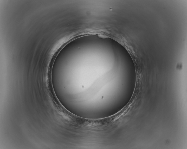X0000090860340200708171610