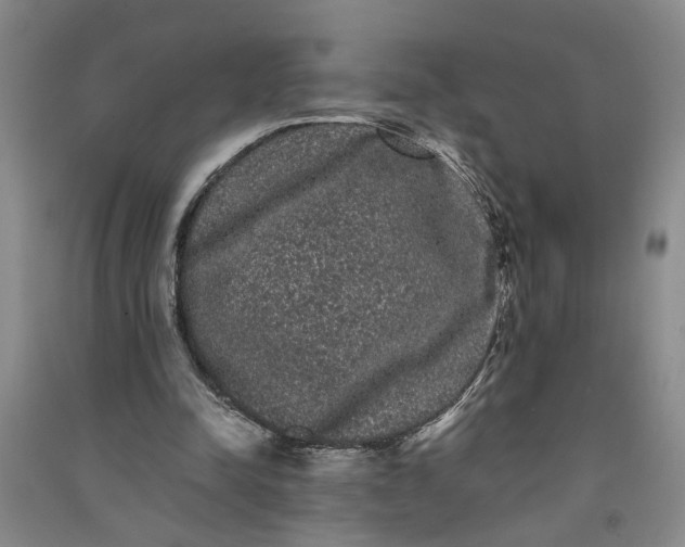X0000090860342200708171610