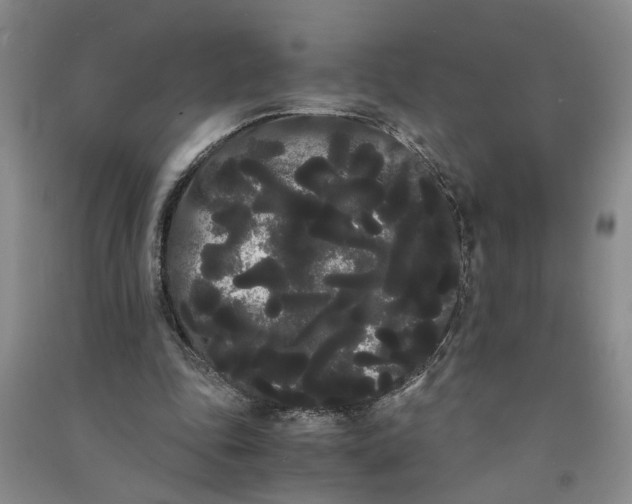X0000090860343200708171610
